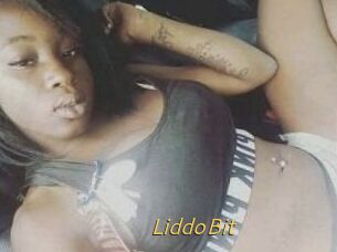 LiddoBit