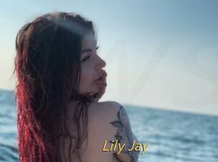 Lily_Jay