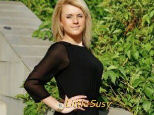 LittleSusy
