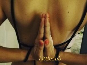 Littlesub
