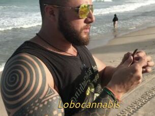 Lobocannabis
