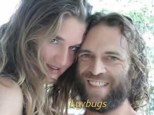 Luvbugs