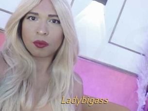 Ladybigass