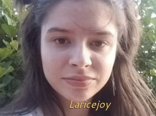 Laricejoy