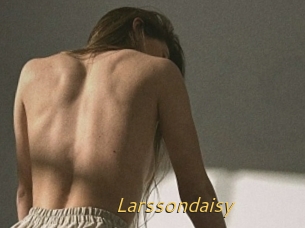 Larssondaisy