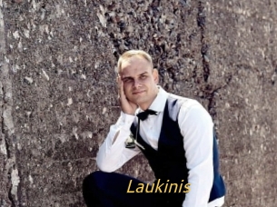 Laukinis