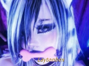 Laytonbox