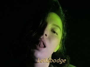 Leilabodge