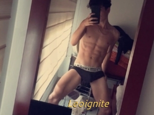 Leoignite