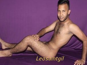 Leosaintgil