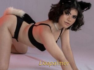 Liaapalmer