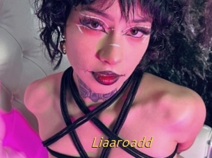 Liaaroadd