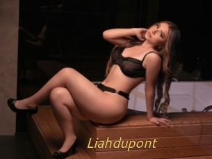 Liahdupont