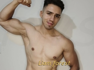 Liam_forest