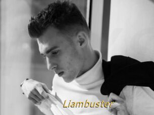 Liambuster