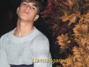 Liamtargaryen