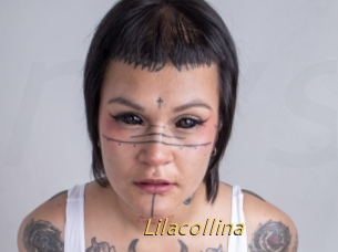 Lilacollina