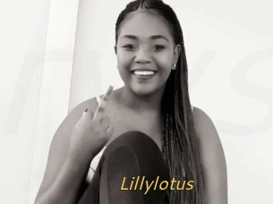 Lillylotus