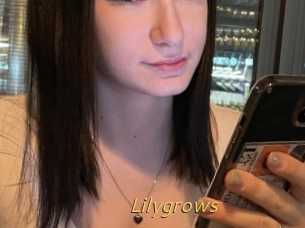 Lilygrows