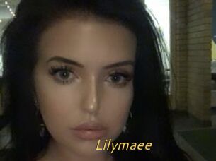 Lilymaee