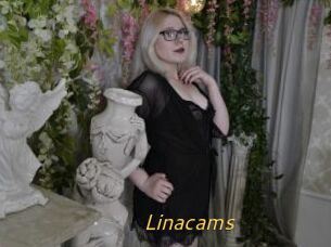 Linacams
