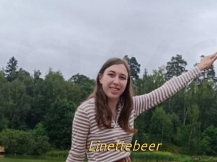 Linettebeer