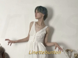 Linettebunton