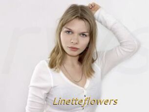 Linetteflowers