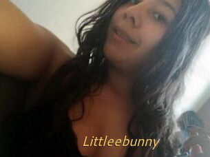 Littleebunny