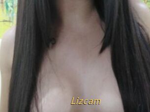 Lizcam