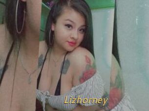 Lizhorney