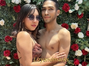 Lizyandmarks