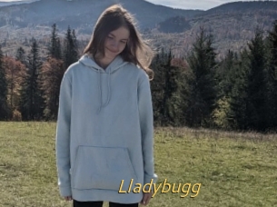 Lladybugg
