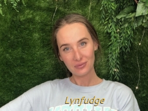 Lynfudge