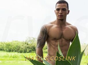 MATIUS_COSLINK