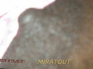 MIRATOUT