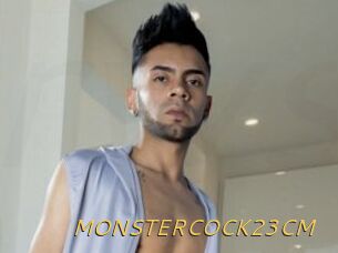 MONSTERCOCK23CM