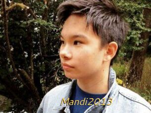 Mandi2013