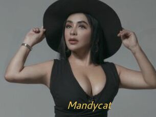 Mandycat