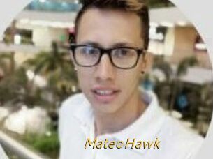 MateoHawk