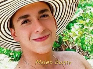 Mateo_Bunny