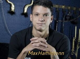MaxHamintonn