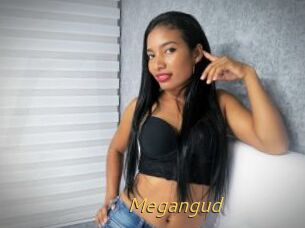 Megangud
