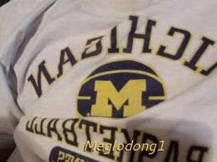 Meglodong1