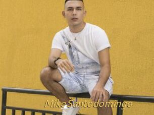 MikeSantodomingo