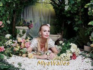 MiyaWalles