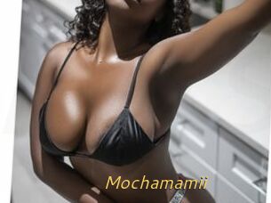 Mochamamii