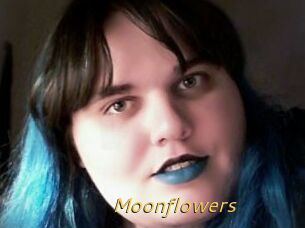 Moonflowers