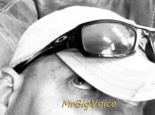 MrBigVoice