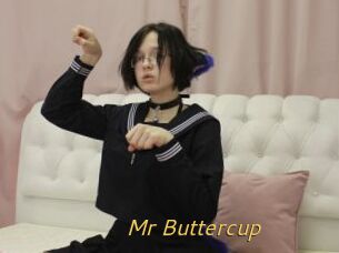 Mr_Buttercup